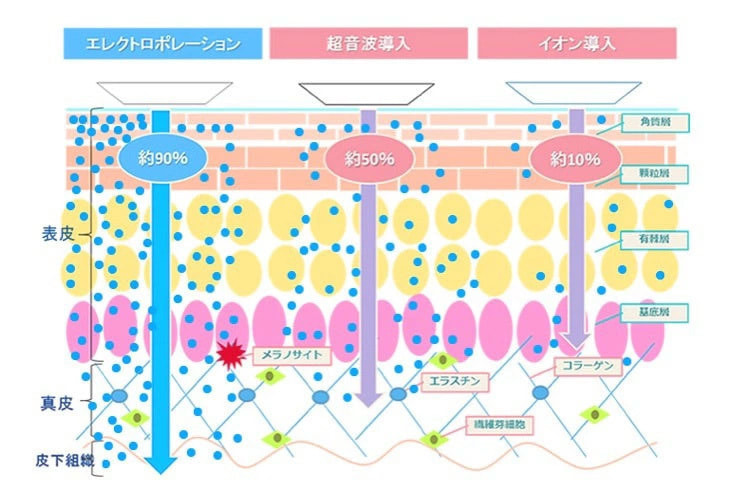 エレクトロポレーションの特徴