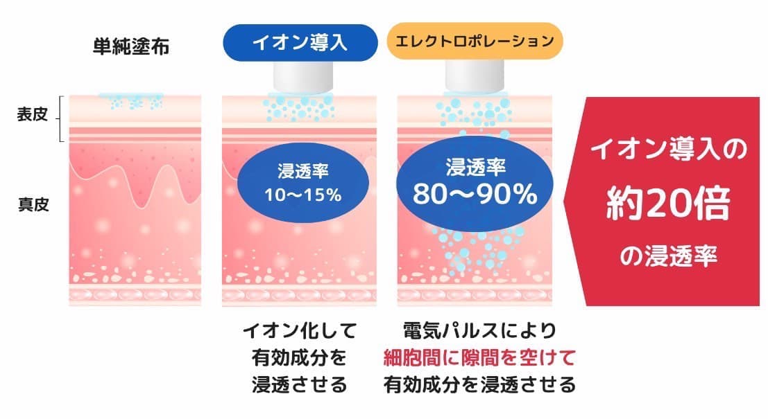 エレクトロポレーションはイオン導入の約２０倍の浸透率